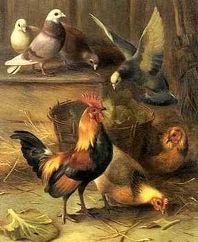 unknow artist Poultry 099 china oil painting image